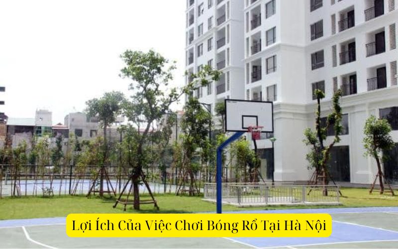 Lợi Ích Của Việc Chơi Bóng Rổ Tại Hà Nội
