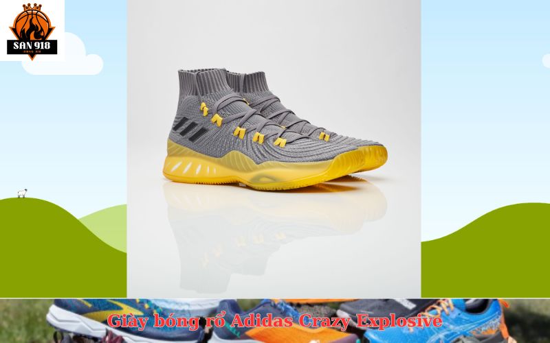 Giày bóng rổ Adidas Crazy Explosive